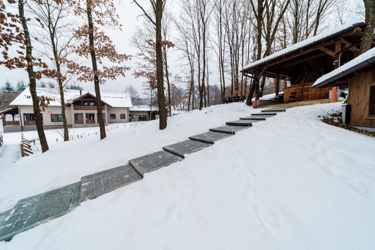 Transylvanian Relax House Lupeni  Екстериор снимка