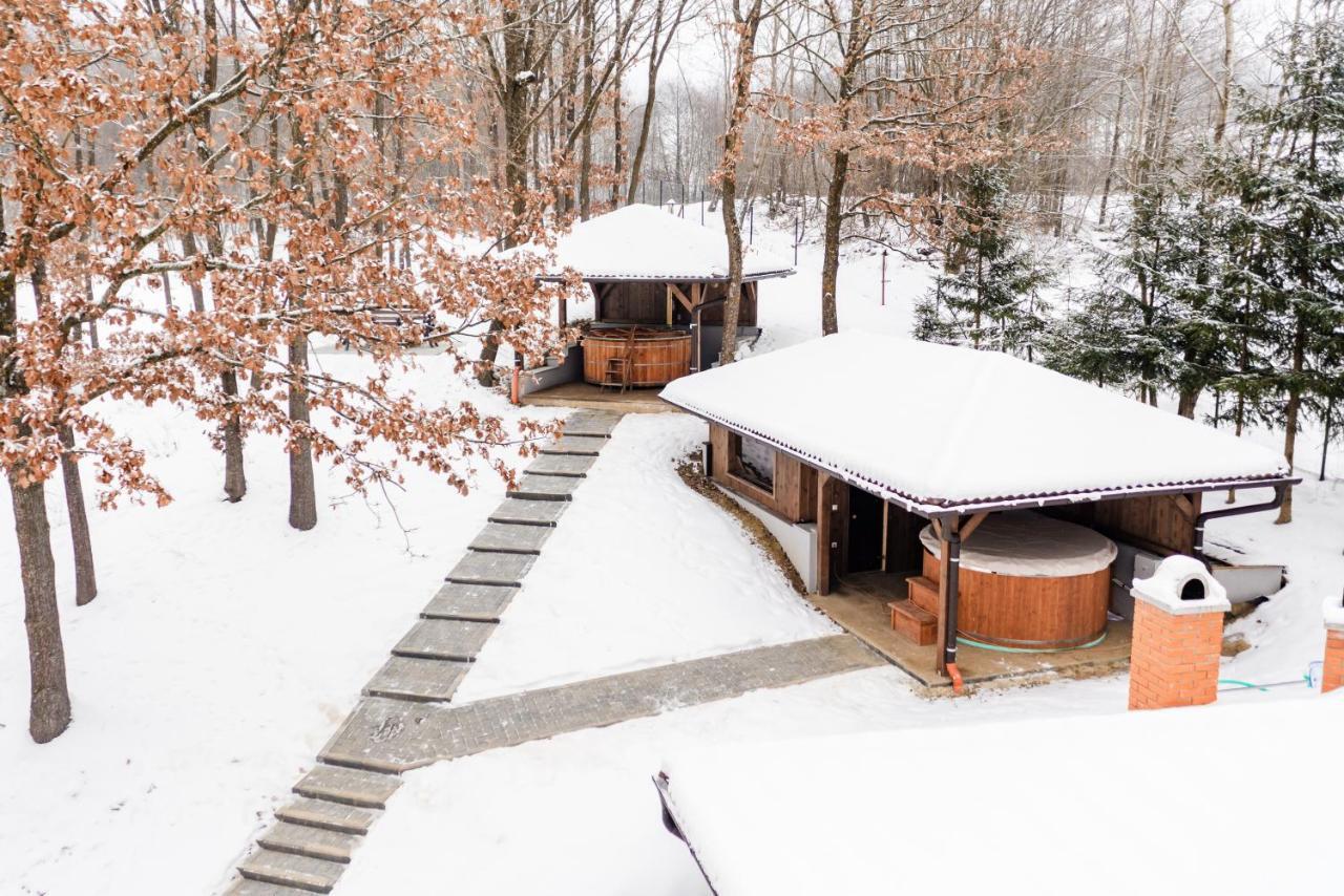 Transylvanian Relax House Lupeni  Екстериор снимка