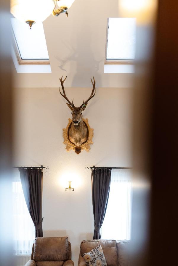 Transylvanian Relax House Lupeni  Екстериор снимка