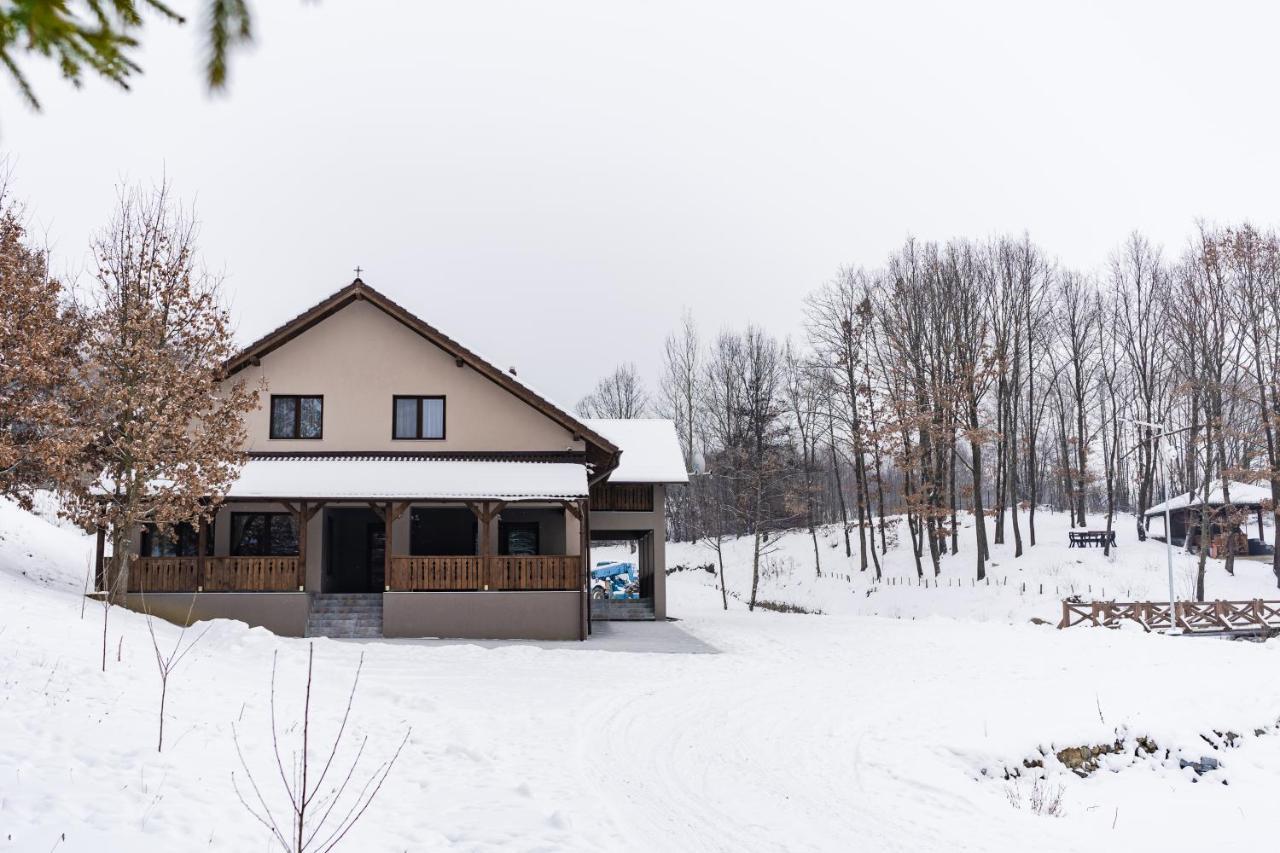 Transylvanian Relax House Lupeni  Екстериор снимка