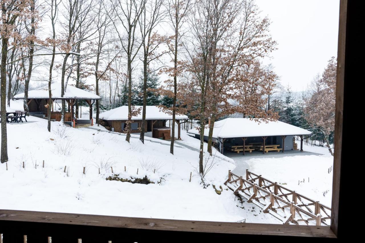 Transylvanian Relax House Lupeni  Екстериор снимка